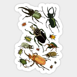 Beetle-mania! Sticker